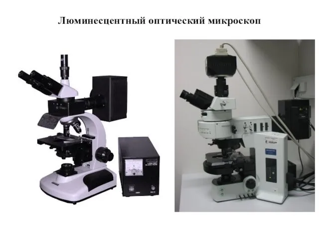 Люминесцентный оптический микроскоп