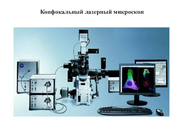 Конфокальный лазерный микроскоп