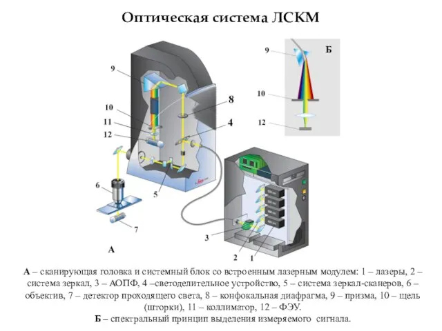 А – сканирующая головка и системный блок со встроенным лазерным модулем: