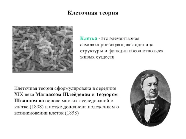 Клеточная теория Клетка - это элементарная самовоспроизводящаяся единица структуры и функции