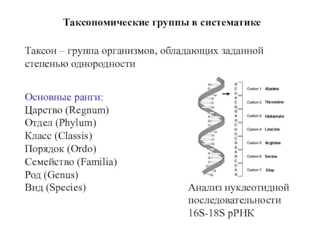 Таксономические группы в систематике Таксон – группа организмов, обладающих заданной степенью