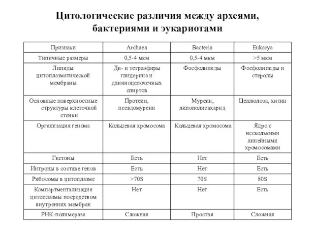 Цитологические различия между археями, бактериями и эукариотами