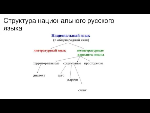Структура национального русского языка