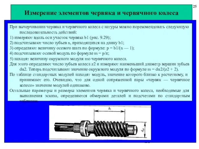 Измерение элементов червяка и червячного колеса 25 При вычерчивании червяка и