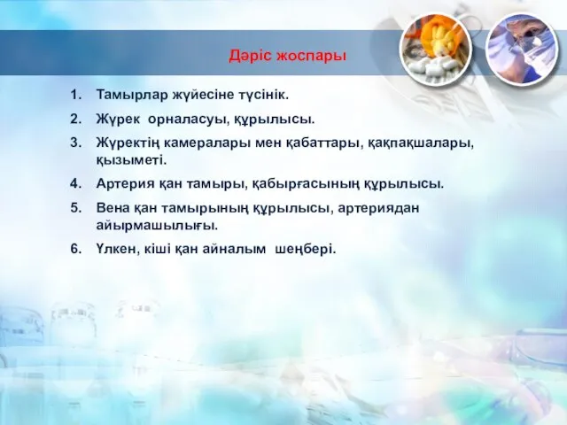 Дәріс жоспары Тамырлар жүйесіне түсінік. Жүрек орналасуы, құрылысы. Жүректің камералары мен