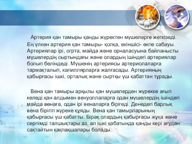 Артерия қан тамыры қанды жүректен мүшелерге жеткізеді. Ең үлкен артерия қан