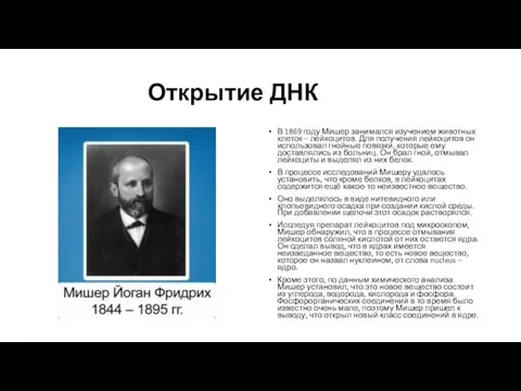 Открытие ДНК В 1869 году Мишер занимался изучением животных клеток –