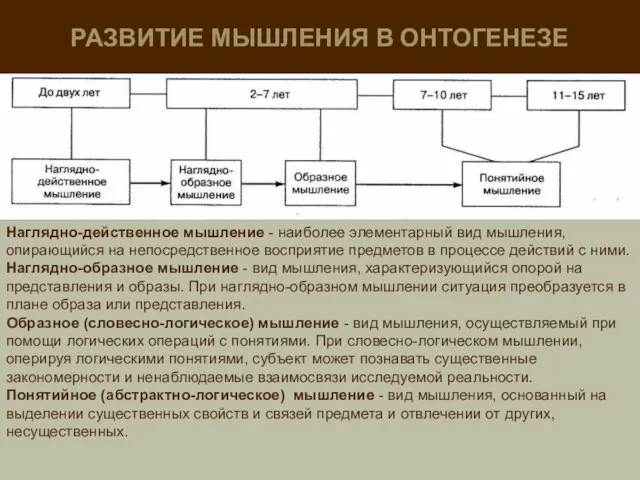 РАЗВИТИЕ МЫШЛЕНИЯ В ОНТОГЕНЕЗЕ Наглядно-действенное мышление - наиболее элементарный вид мышления,