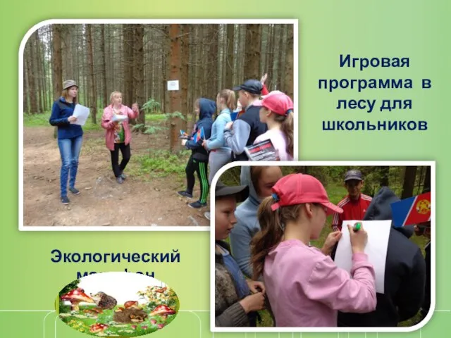 Экологический марафон Игровая программа в лесу для школьников
