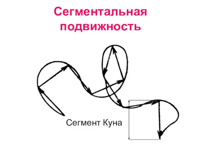 Сегментальная подвижность