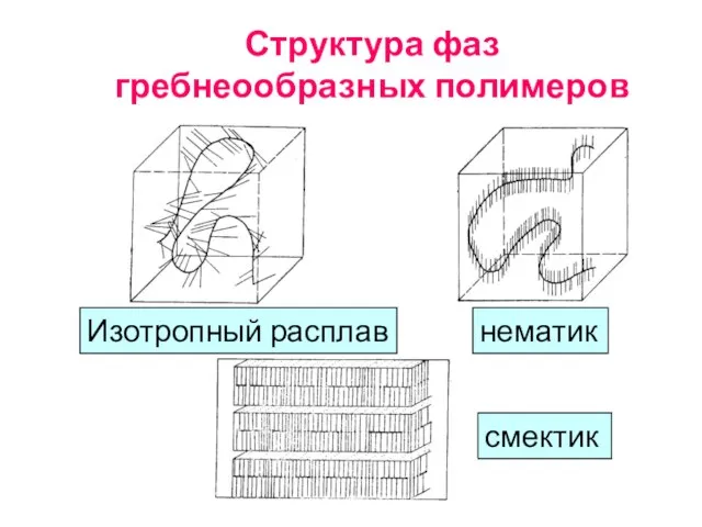 Структура фаз гребнеообразных полимеров Изотропный расплав нематик смектик