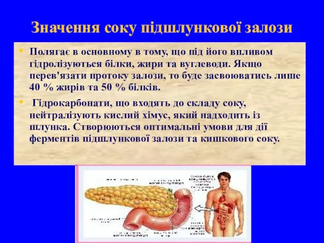 Значення соку підшлункової залози Полягає в основному в тому, що під