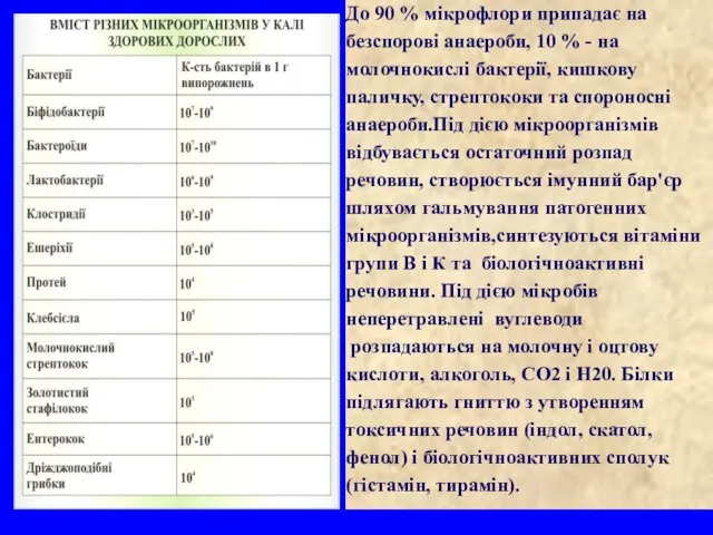 До 90 % мікрофлори припадає на безспорові анаероби, 10 % -