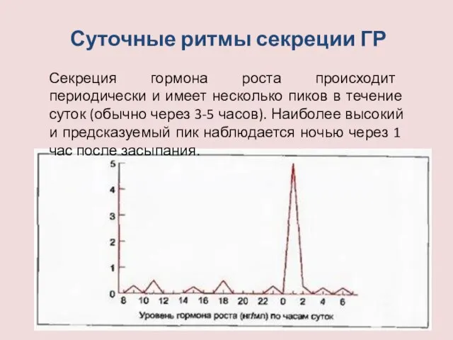 Суточные ритмы секреции ГР Секреция гормона роста происходит периодически и имеет