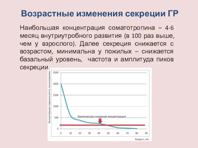 Возрастные изменения секреции ГР Наибольшая концентрация соматотропина – 4-6 месяц внутриутробного