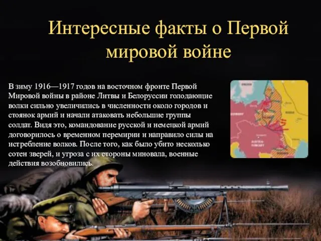 Интересные факты о Первой мировой войне В зиму 1916—1917 годов на