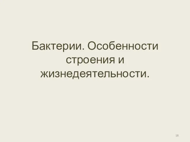 Бактерии. Особенности строения и жизнедеятельности.