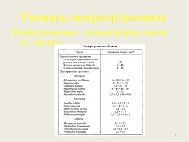 Размеры микроорганизмов Микроорганизмы – живые формы менее 70 – 80 мкм.