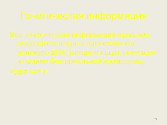 Генетическая информация Вся генетическая информация прокариот содержится в одной единственной молекуле