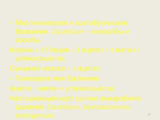 Маслянокислое и ацетобутиловое брожение. Clostridium – анаэробы и аэробы. Аланин +