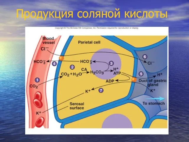 Продукция соляной кислоты