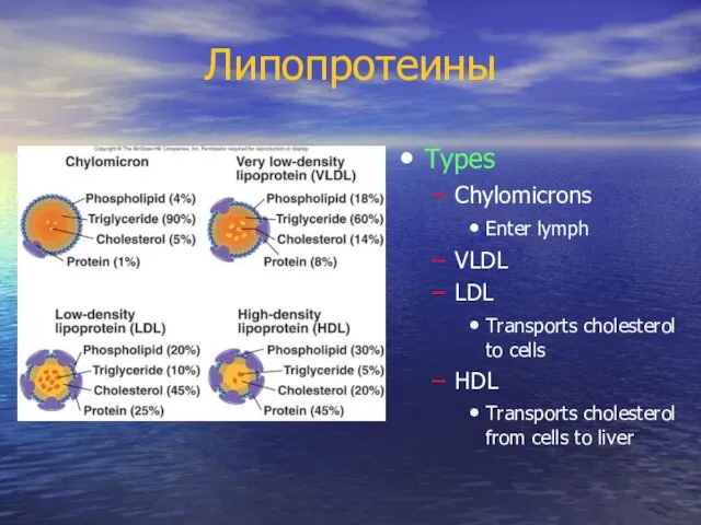 Липопротеины Types Chylomicrons Enter lymph VLDL LDL Transports cholesterol to cells