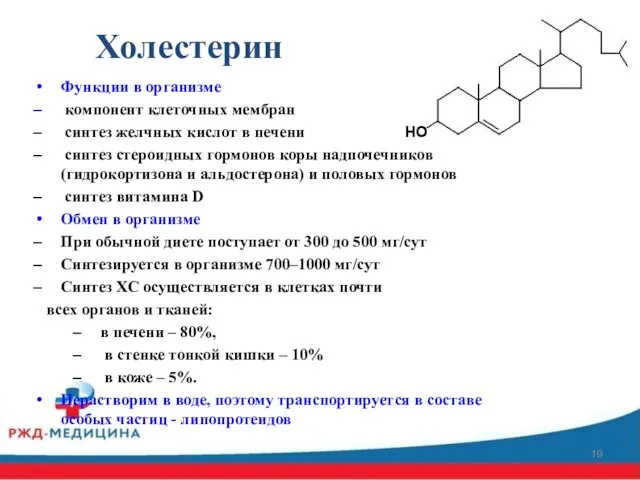 Холестерин Функции в организме компонент клеточных мембран синтез желчных кислот в