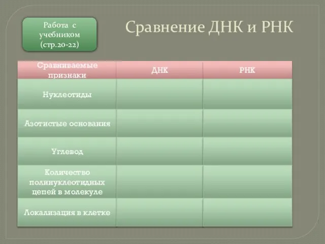 Работа с учебником (стр.20-22) Сравнение ДНК и РНК Сравниваемые признаки ДНК