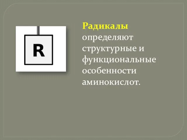 Радикалы определяют структурные и функциональные особенности аминокислот.