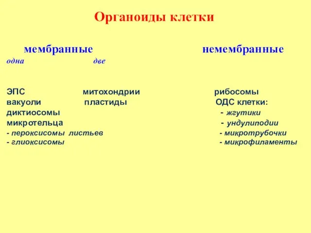 Органоиды клетки мембранные немембранные одна две ЭПС митохондрии рибосомы вакуоли пластиды