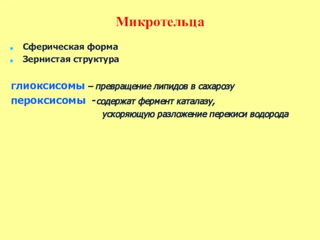 Микротельца Сферическая форма Зернистая структура глиоксисомы – превращение липидов в сахарозу