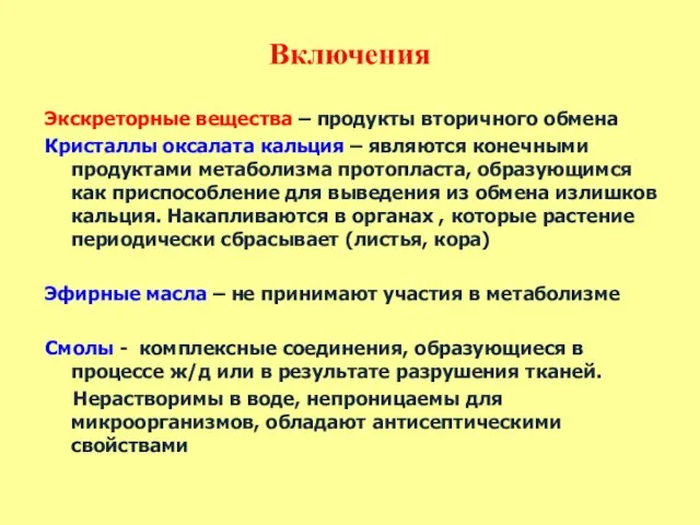 Включения Экскреторные вещества – продукты вторичного обмена Кристаллы оксалата кальция –