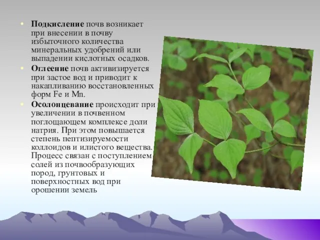 Подкисление почв возникает при внесении в почву избыточного количества минеральных удобрений