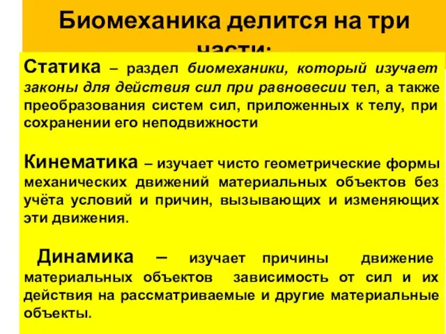 Биомеханика делится на три части: Статика – раздел биомеханики, который изучает