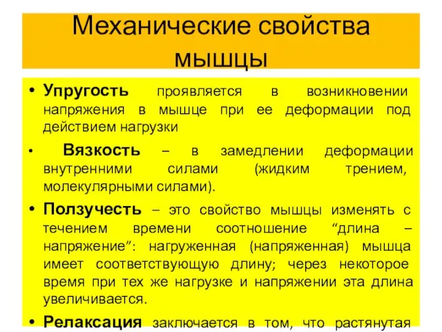 Механические свойства мышцы Упругость проявляется в возникновении напряжения в мышце при