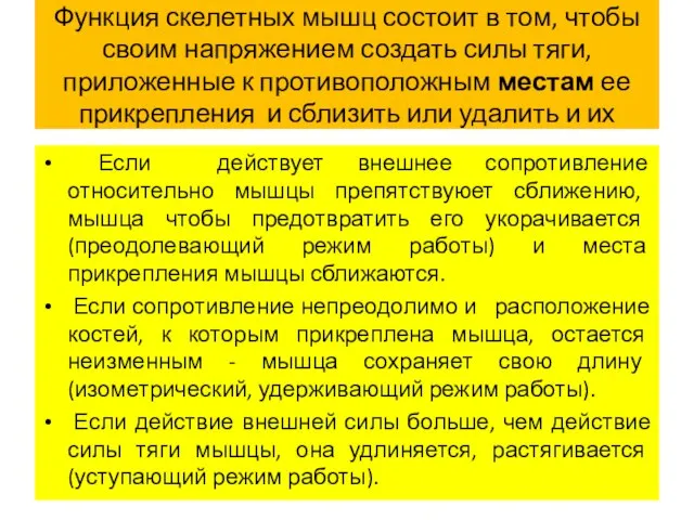 Функция скелетных мышц состоит в том, чтобы своим напряжением создать силы