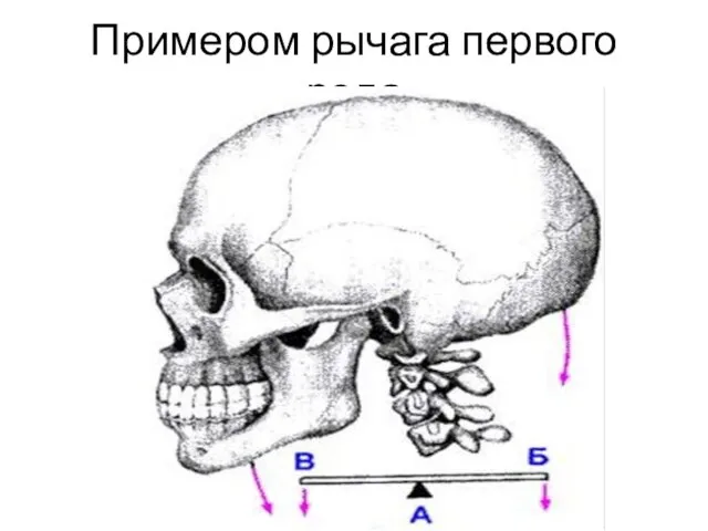 Примером рычага первого рода