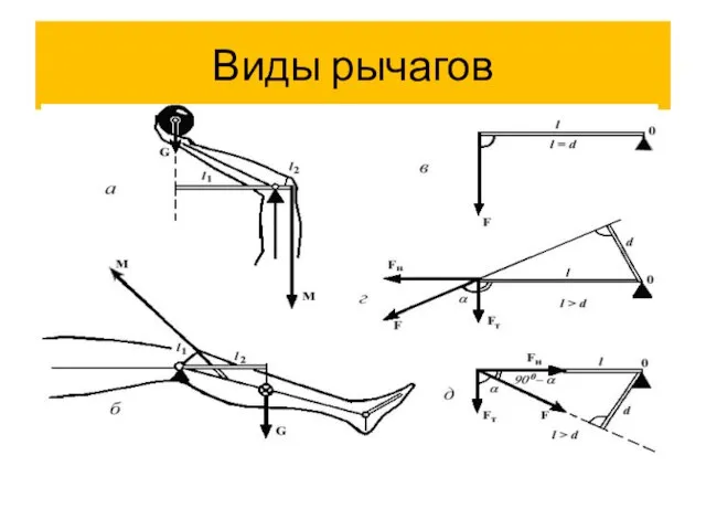 Виды рычагов