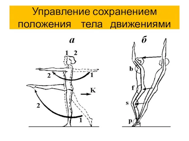 Управление сохранением положения тела движениями