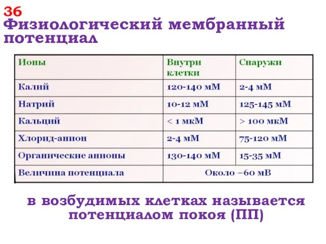 36 Физиологический мембранный потенциал в возбудимых клетках называется потенциалом покоя (ПП)