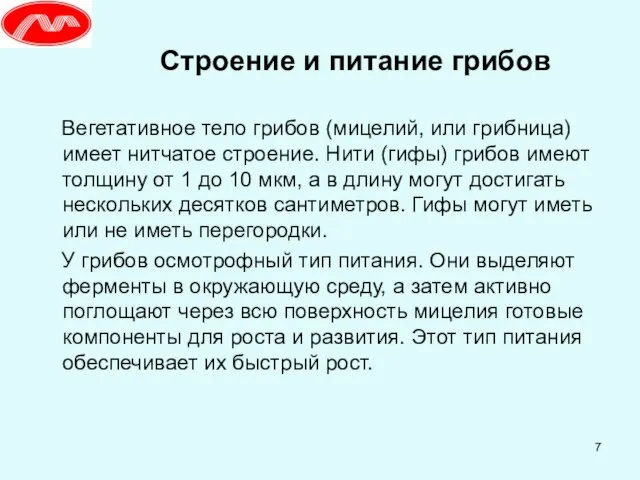 Строение и питание грибов Вегетативное тело грибов (мицелий, или грибница) имеет