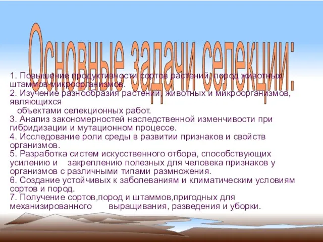 Основные задачи селекции: 1. Повышение продуктивности сортов растений, пород животных, штаммов