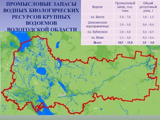 ПРОМЫСЛОВЫЕ ЗАПАСЫ ВОДНЫХ БИОЛОГИЧЕСКИХ РЕСУРСОВ КРУПНЫХ ВОДОЕМОВ ВОЛОГОДСКОЙ ОБЛАСТИ