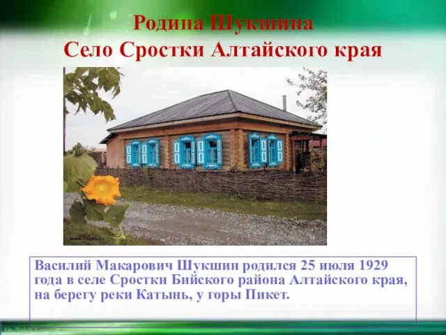 Родина Шукшина Село Сростки Алтайского края Василий Макарович Шукшин родился 25