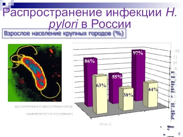 Распространение инфекции Н.рylori в России Омск: в районах антропогенного загрязнения -