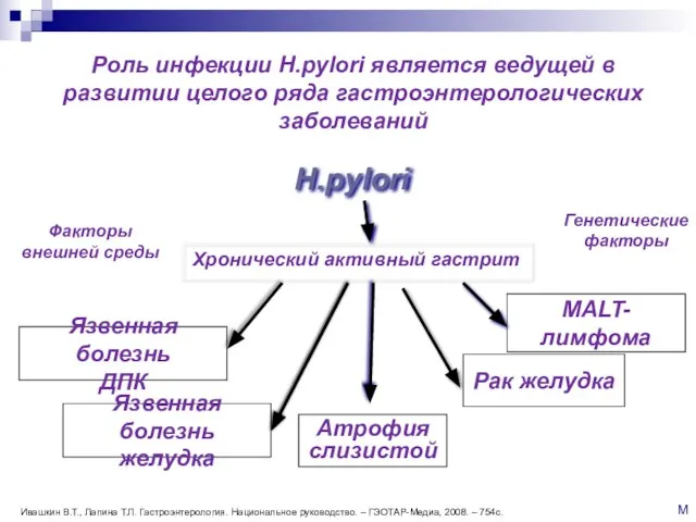 Хронический активный гастрит Язвенная болезнь желудка Рак желудка MALT-лимфома Н.рylori Факторы