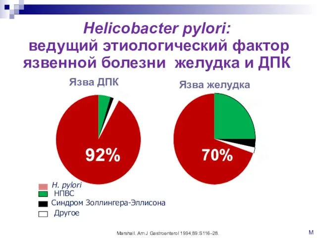 Helicobacter pylori: ведущий этиологический фактор язвенной болезни желудка и ДПК Язва