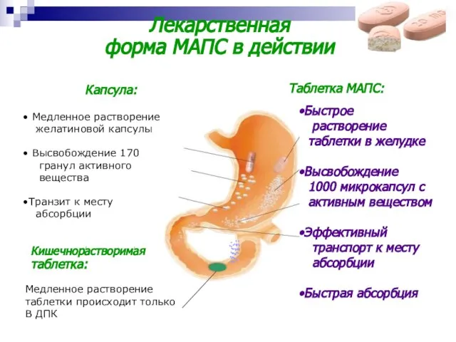 Лекарственная форма МАПС в действии Медленное растворение таблетки происходит только В