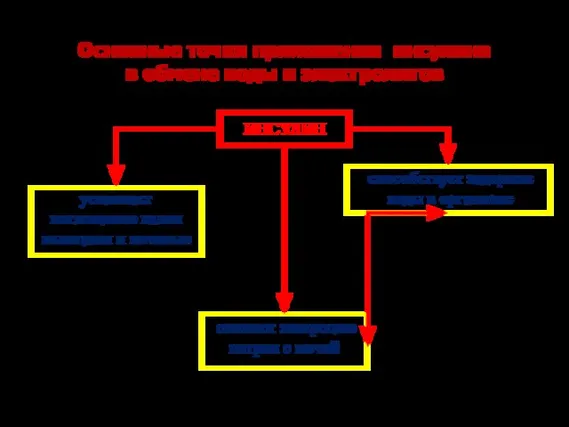 Основные точки приложения инсулина в обмене воды и электролитов ИНСУЛИН снижает