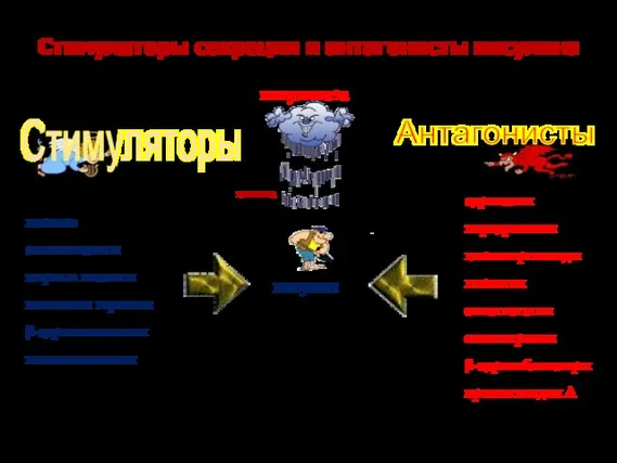 Стимуляторы секреции и антагонисты инсулина инсулин глюкоза глюкоза аминокислоты жирные кислоты